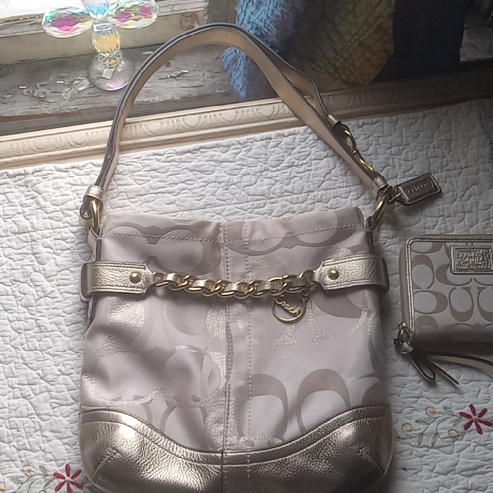 Coach Purse and wallet